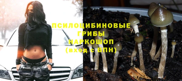 ешки Алексеевка