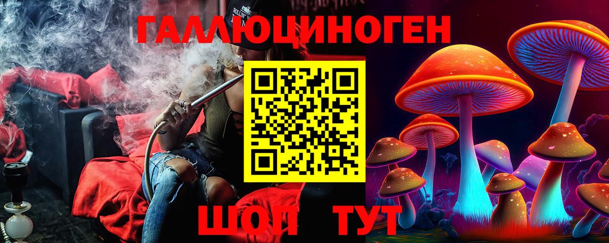 Псилоцибиновые грибы Cubensis Санкт-Петербург