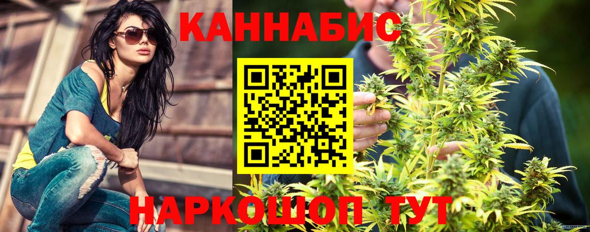 Бошки марихуана White Widow  Шишки марихуана индика  Санкт-Петербург  Конопля VHQ  Вход с VPN  Конопля марихуана 